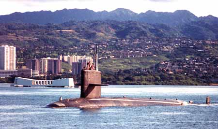 Hawkbill by Arizona Memorial