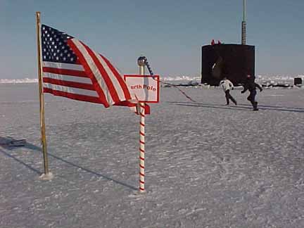 Flag and Hawkbill