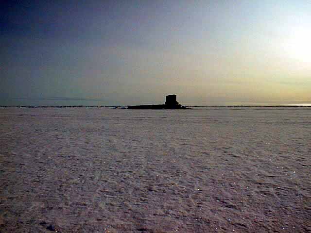 Hawkbill on the Ice