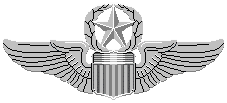 Combat Insignia