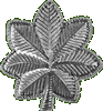 Lt Col Insignia